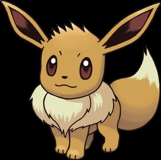 Eevee😛 | Wiki | •Pokémon• En Español Amino