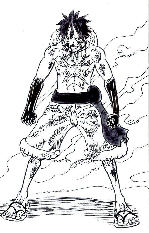 ESPECIAL MONKEY D LUFFY | •One Piece• Amino