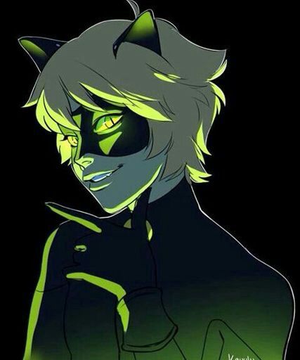 Adrian/Cat noir | Wiki | Cartoon Amino