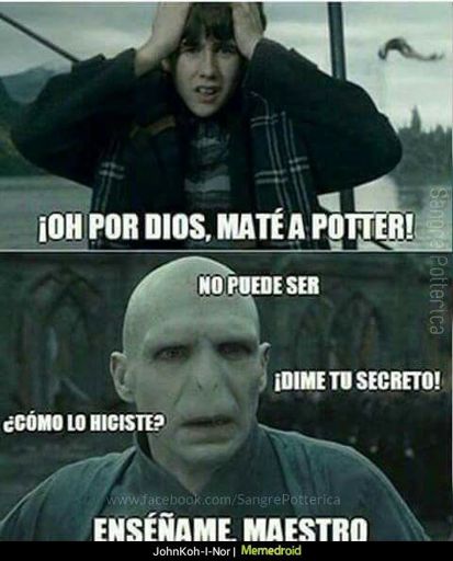 Maté a Potter ⚡ | •Harry Potter• Español Amino