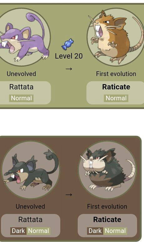 Alolan Raticate: Stats and Moves predictions | Pokémon Amino