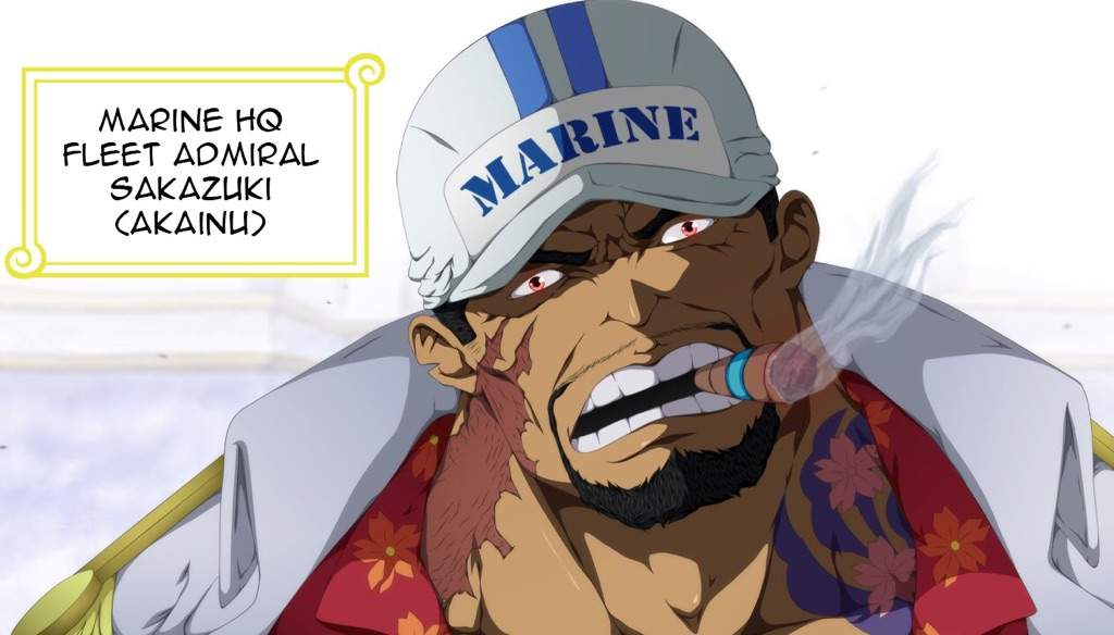 How Powerful Is Akainu? | One Piece Amino