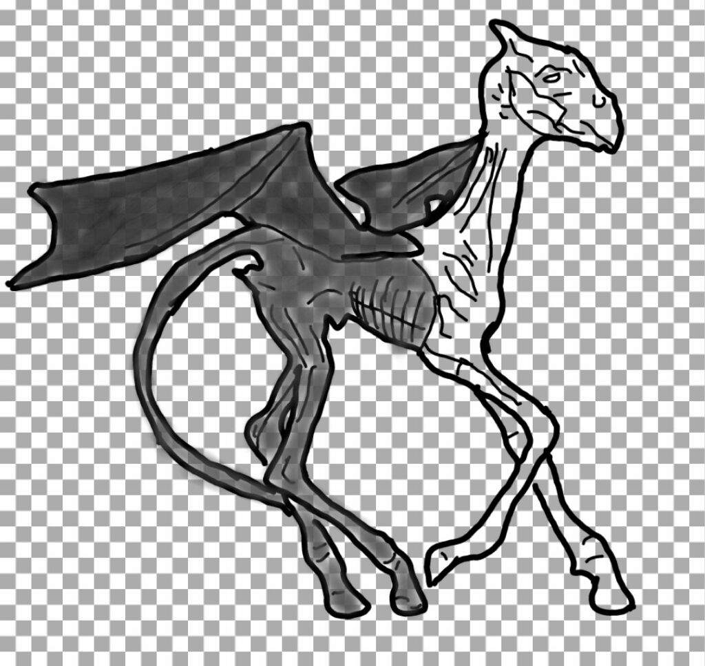 Thestral | drawing | Harry Potter Amino