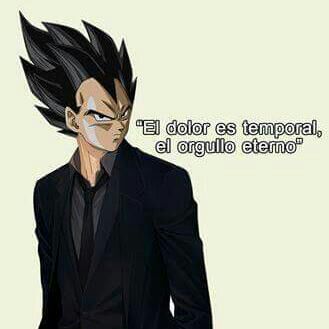 Frases Vegeta. | DRAGON BALL ESPAÑOL Amino