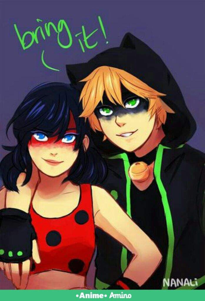 Cat noir y ladybug | •Anime• Amino