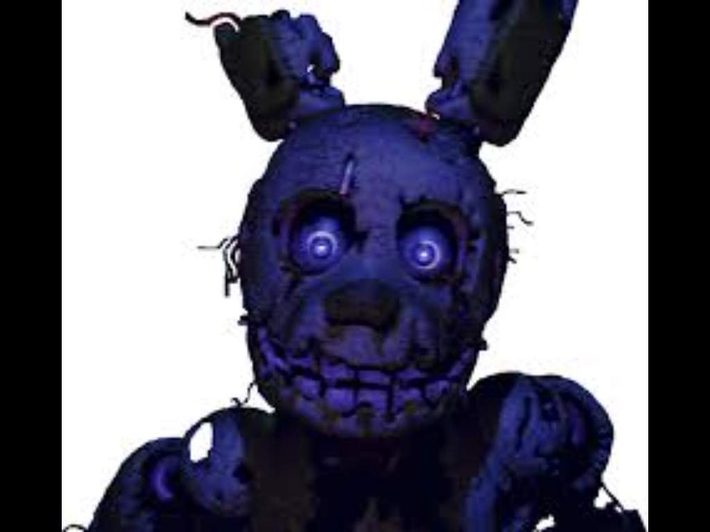 Cattraiter Five Nights At Freddys Amino - 