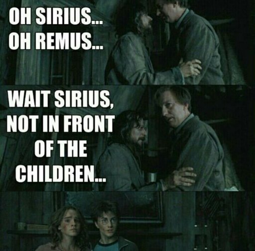 what exactly is the function of a rubber duck? Harry Potter Amino