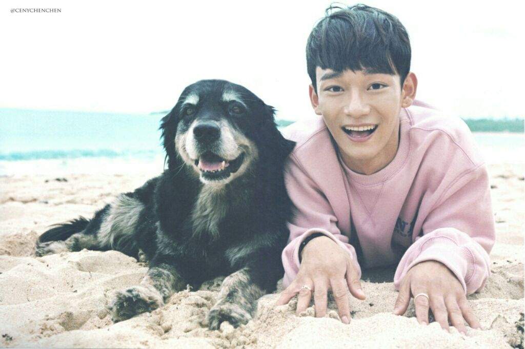 Happy birthday Chen!!!🎉 | K-Pop Amino