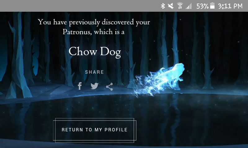 chow dog patronus chow dog patronus