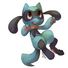 amino-♨Riolu♨-57b4101d