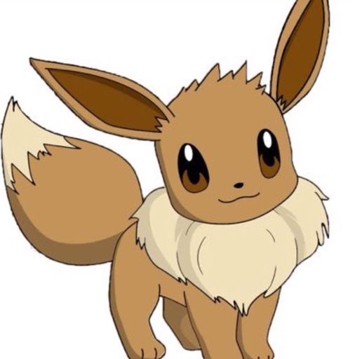 EEVEE!!! | Anime Amino