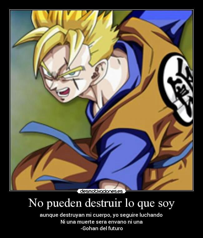 Curiosidades sobre Gohan DRAGON BALL ESPAÑOL Amino