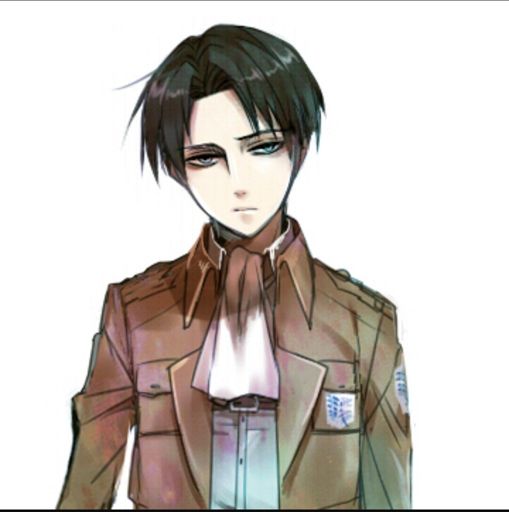 Levi Akerman | Wiki | Animēshiyone FanFic/Fiction Amino