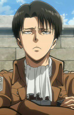 levi air jordan