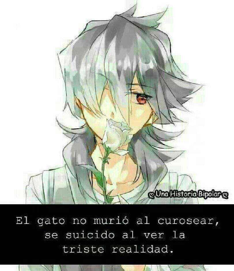 Frases Anime Amino