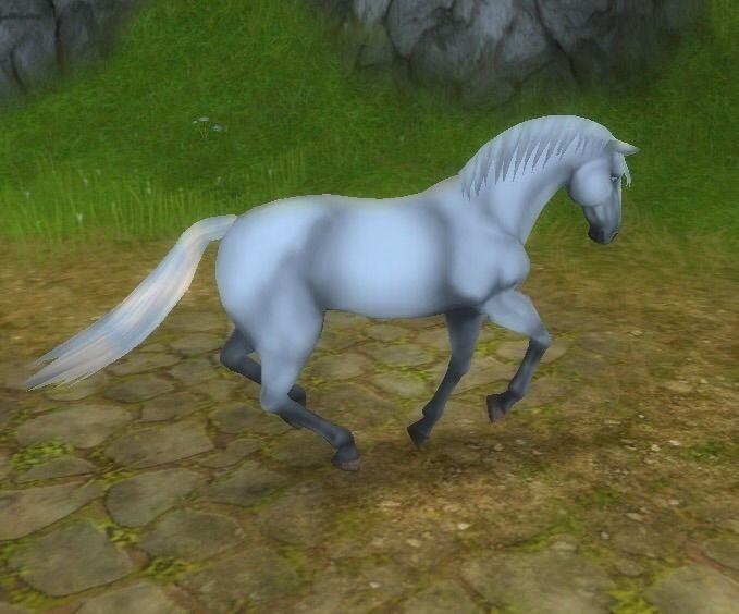 The Lipizzan Horse | Star Stable Online Amino