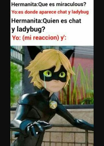 Marinette lopez | •Miraculous Ladybug Español• Amino