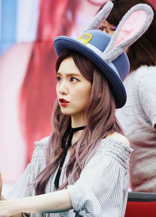 Cute Irene As A Rabbit | K-Pop Amino