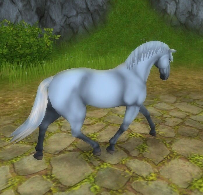 The Lipizzan Horse | Star Stable Online Amino