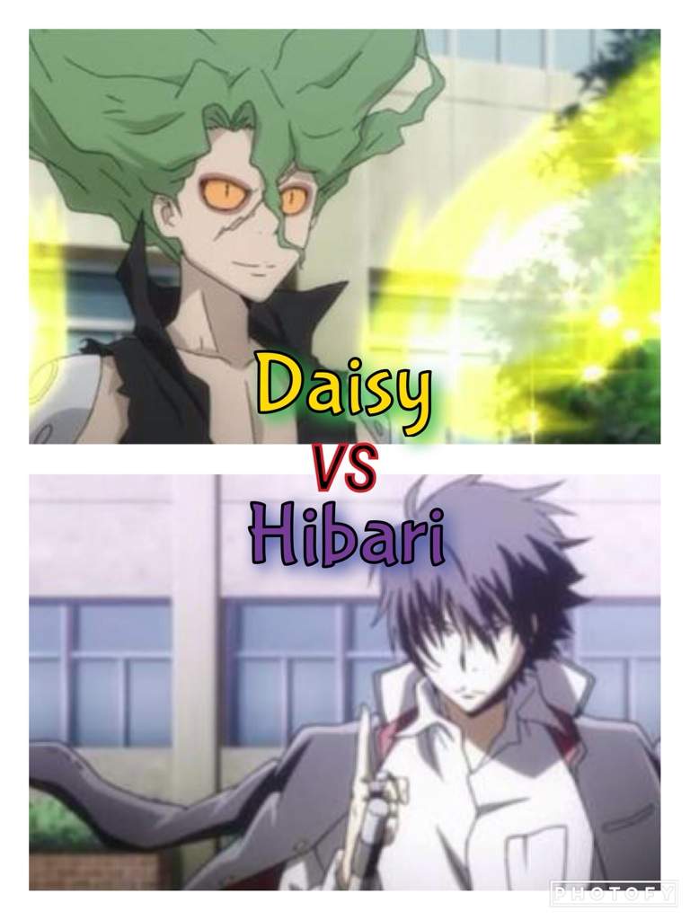 Daisy Versus Hibari Wiki Reborn Amino