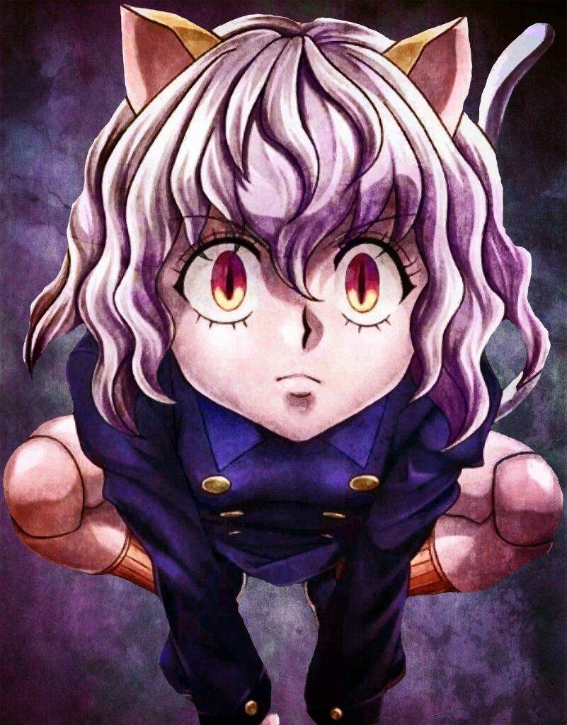 Top 10 Personajes Favoritos De Hunter X Hunter •anime• Amino 6884