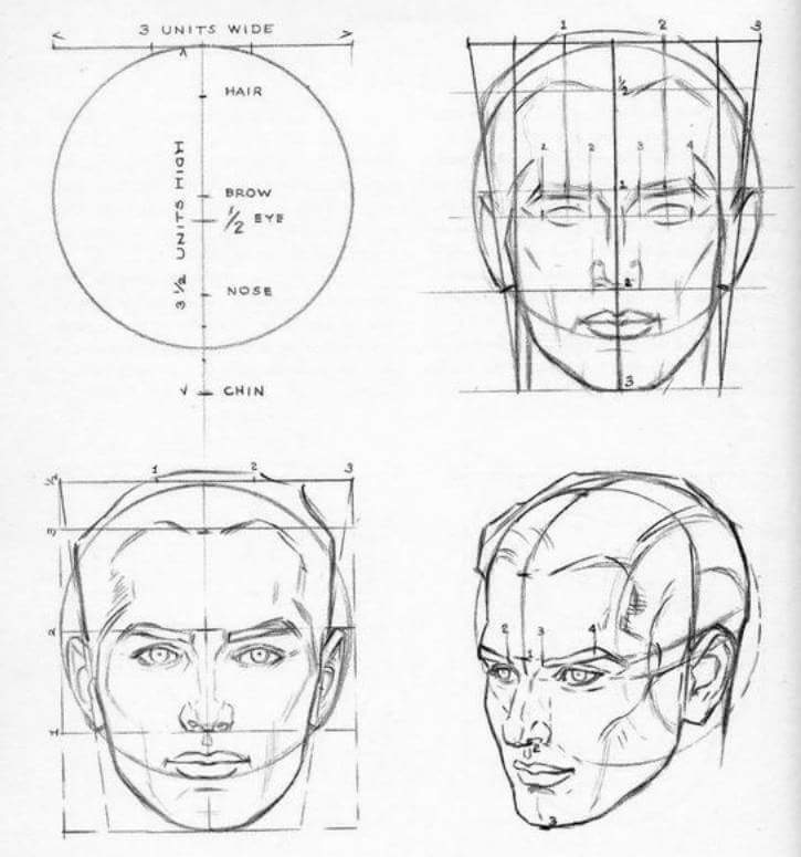 Como Dibujar Rostros segun andrew loomis | Wiki | Aprendiendo a Dibujar ...