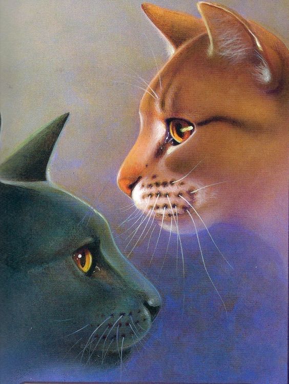 the-tribe-of-rushing-water-modern-warrior-cats-amino-amino