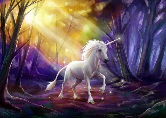What is a unicorn? | Neko Amino