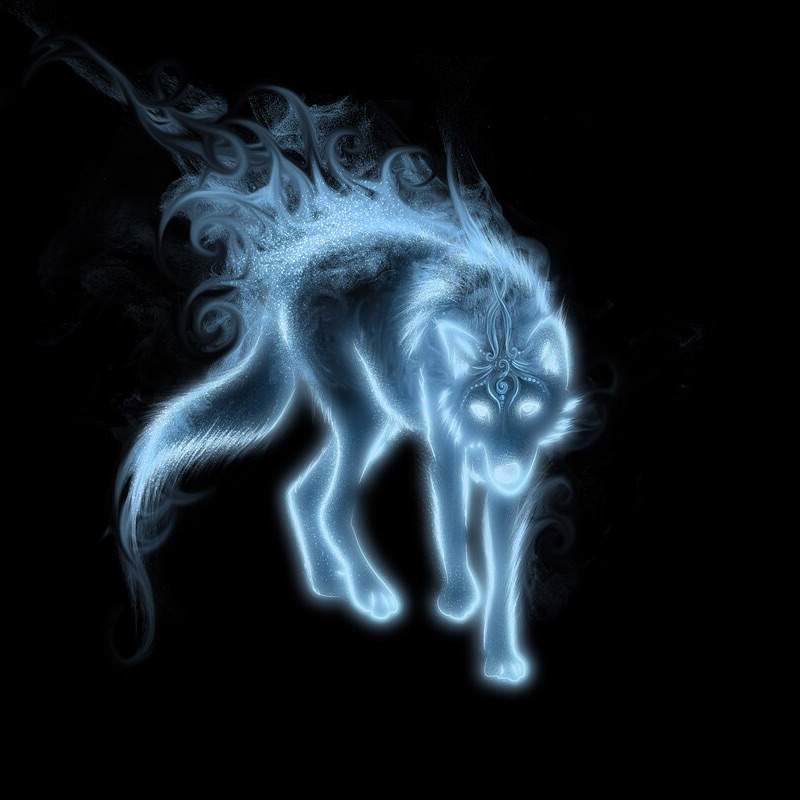 Wolf Patronus | Wiki | Harry Potter Amino