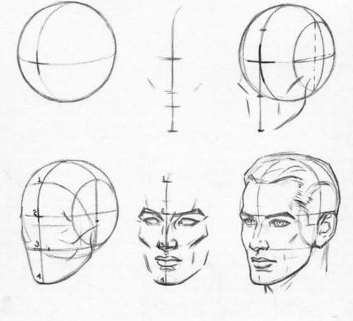 Como Dibujar Rostros segun andrew loomis | Wiki | Aprendiendo a Dibujar ...