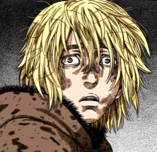 Vinland Saga Wiki Anime Amino