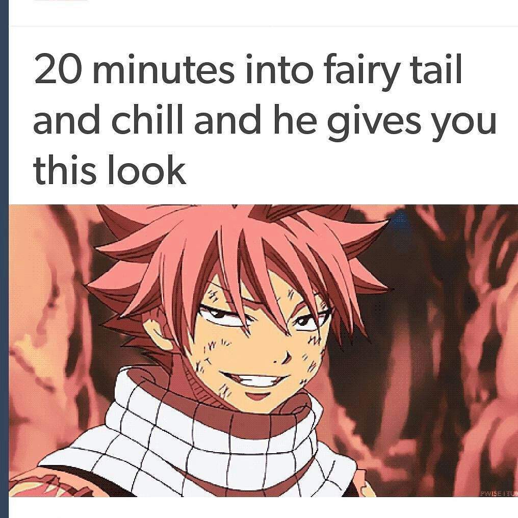 Sweet Fairy Tail Memes | Fairy Tail Amino