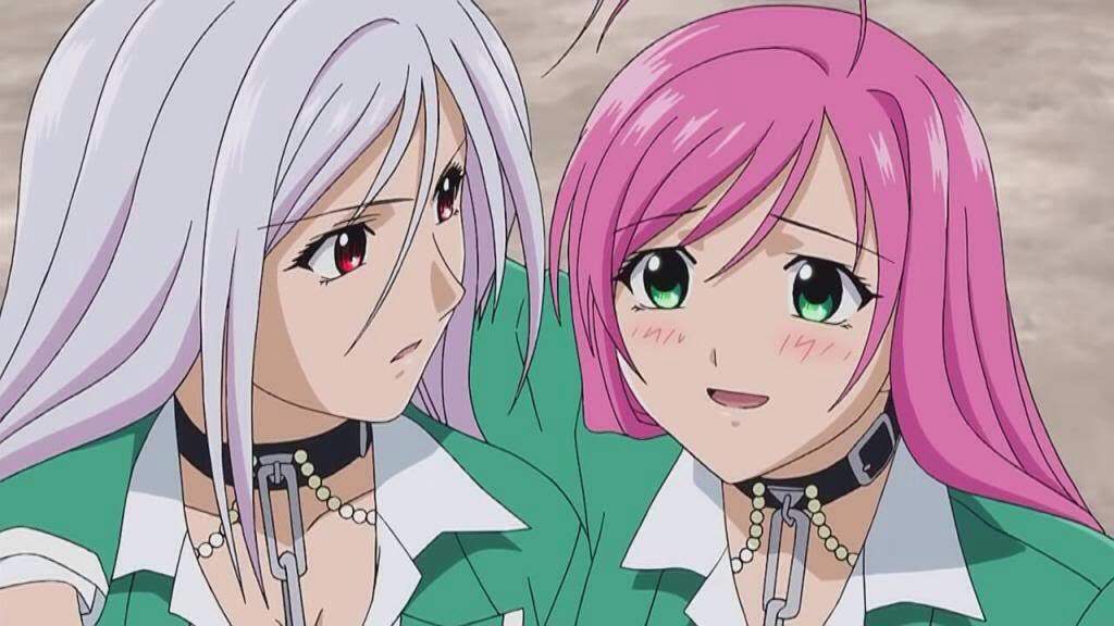 Anime similar to rosario vampire