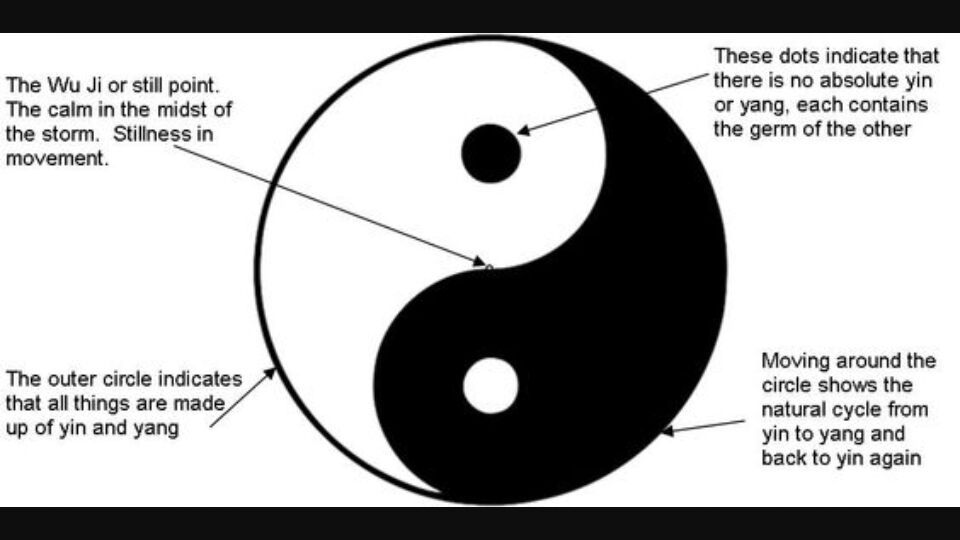 the concept of yin and yang theory in criminalogy