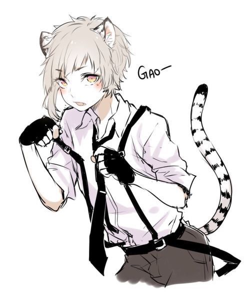 Neko kitty boy | Anime Amino