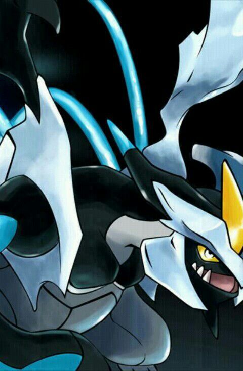 Kyuem negro | Wiki | •Pokémon• En Español Amino