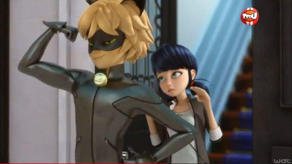 Why Do You Think Adrien Flirts With Marinette When He Is Cat