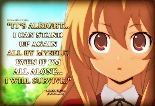 Toradora Memes And Quotes~ Anime Amino 0261