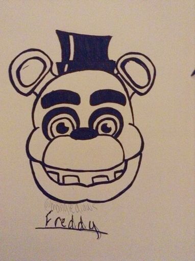 I DUNNO JUST A FREDDY SPOOPBEAR | Five Nights At Freddy's Amino