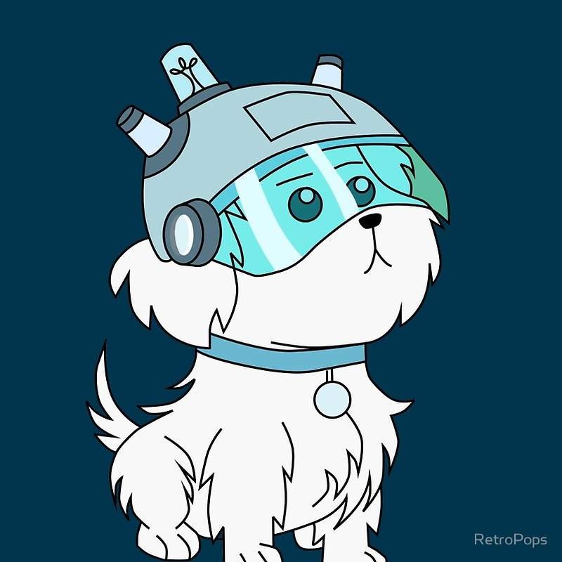 rick and morty dog toys