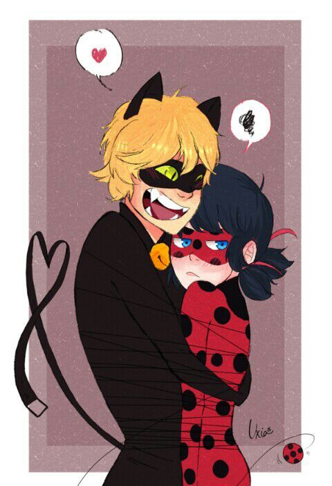 Ladybug+cat noir | •Miraculous Ladybug Español• Amino