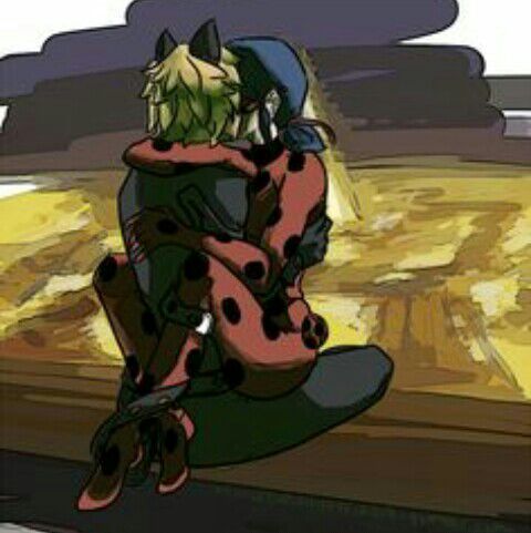 Ladybug+cat noir | •Miraculous Ladybug Español• Amino