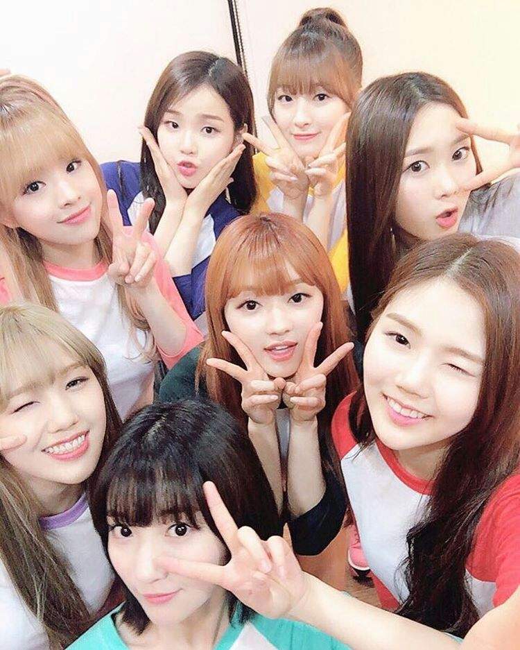 Update: Oh My Girl Shares Summery Group And Individual 