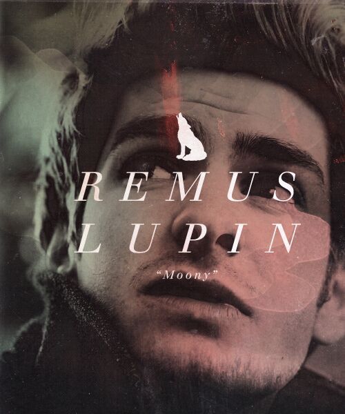 Remus Lupin | Wiki | Harry Potter Amino