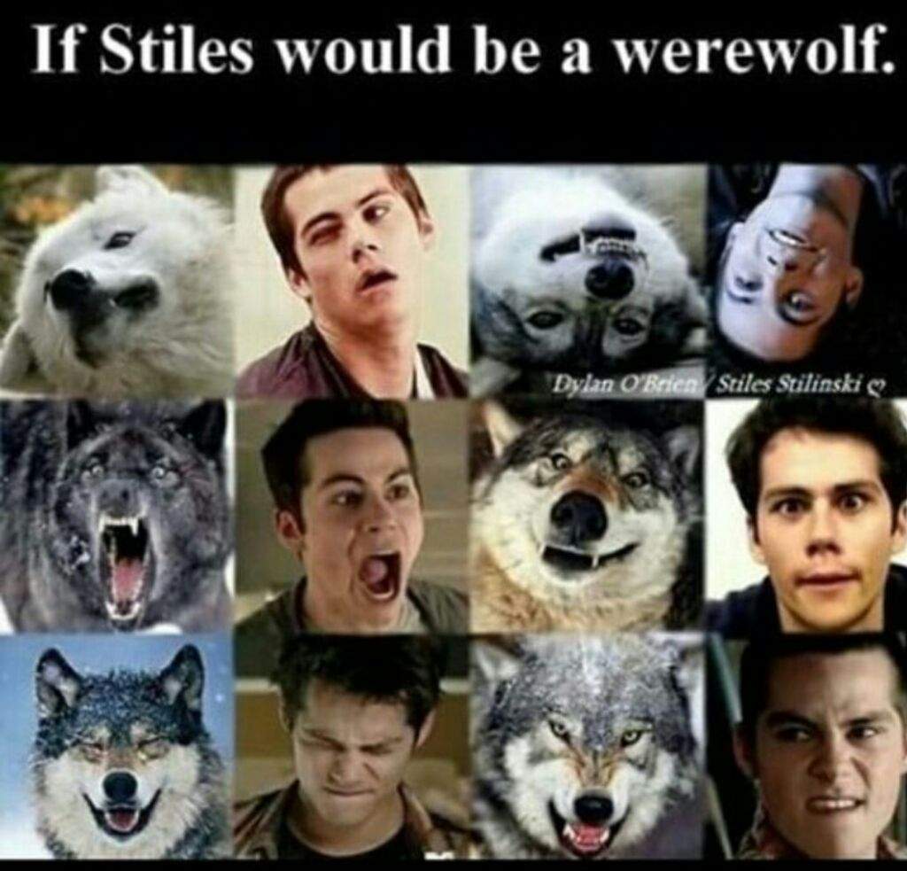 If Stiles was a Werewolf. | Teen Wolf Amino