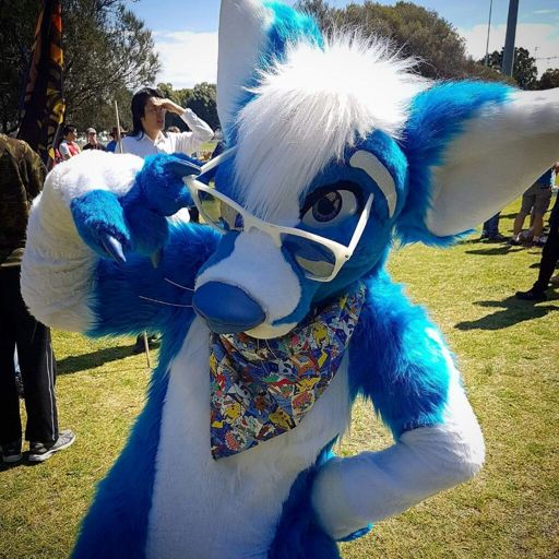 Pocari Roo | Wiki | Furry Español Amino