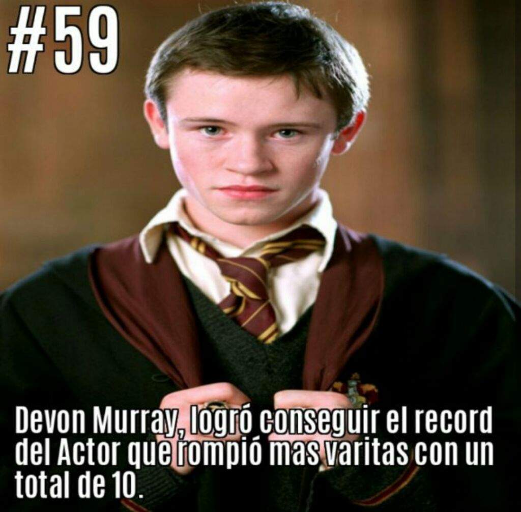 Curiosidades sobre Harry Potter | •Harry Potter• Español Amino