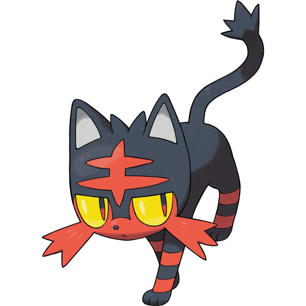 litten teddy