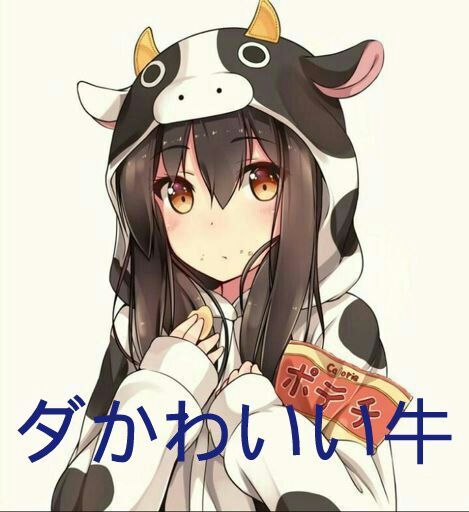 DA CUTE COW!!! | Wiki | Anime Amino