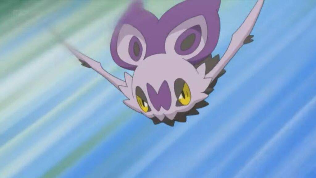 Image result for noibat ferido